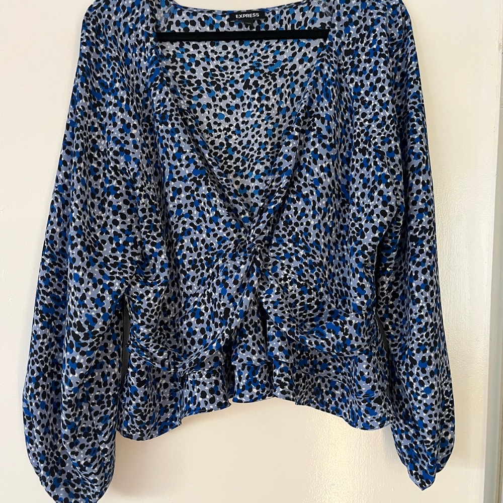 Express Blue Tie Front Relaxed Blouse